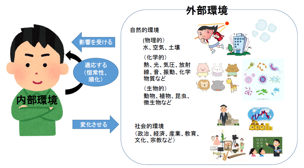 動物生理学 環境への適応 動物生理学: 環境への適応 | クヌート シュミット=ニールセン